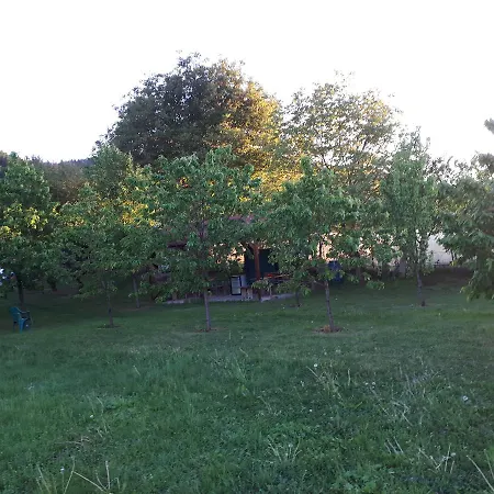 Casa Cionca *